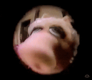 Miss Piggy Peep Hole Let Me In Meme GIF