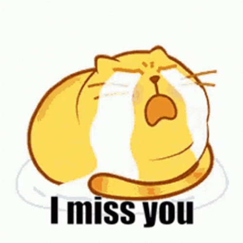 Miss You Crying Cat GIF