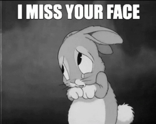 Miss You Shy Bunny GIF