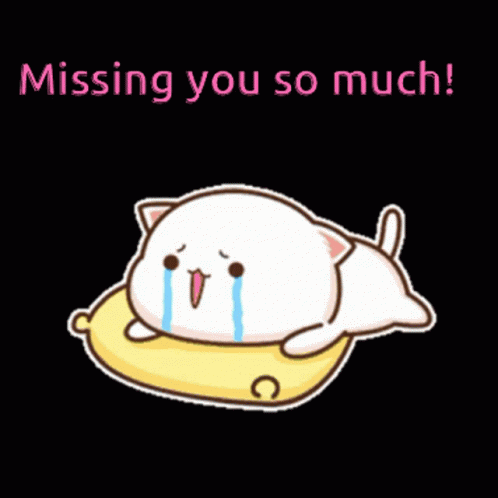 Miss You So Much Crying Peach Cat GIF