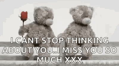 Miss You So Much Teddy Bear Lover GIF