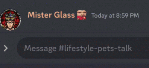Mister Glass Conversation With Frog