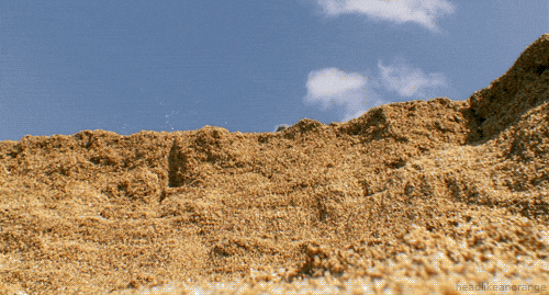 Mitch Mcconnell Turtle Fell Off The Cliff GIF