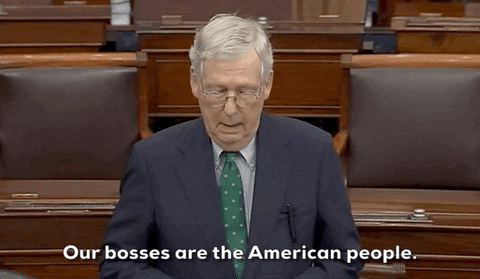 Mitch Mcconnell Turtle Head Bent Down GIF