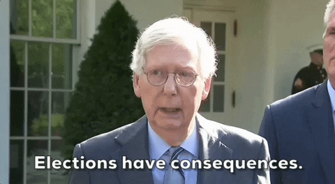 Mitch Mcconnell Turtle Says Elections Have Consequences GIF