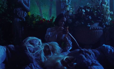 Mitski Maegan Houang Dark Video GIF