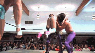 Mixed Gender Wrestling Match GIF