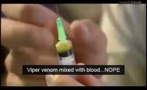 Mixed Viper Venom Forms Blood Clot GIF