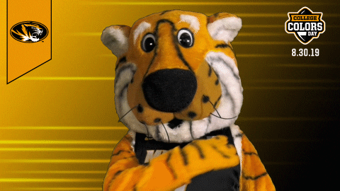 Mizzou Brushing Truman The Tiger Shirt Off GIF
