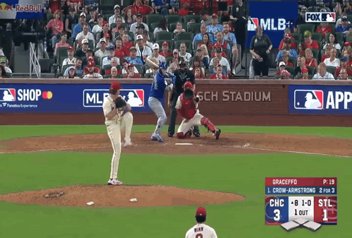 MLB And RedBull Stadium Baseball Game GIF