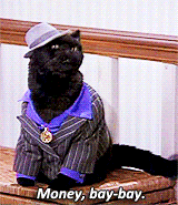 Mo Money Black Cat GIF