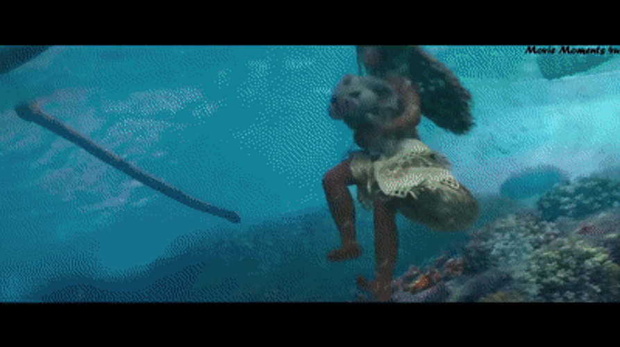 Moana GIFs GIFDB