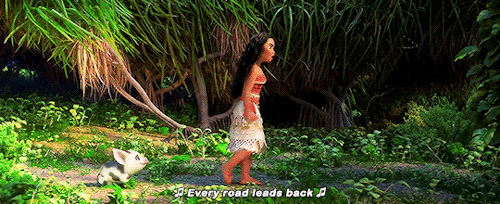 Moana Every Road Leads Back GIF