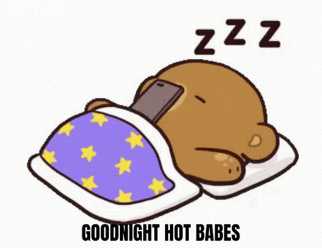 Mocha Bear Sleeping Good Night Babe Sticker GIF