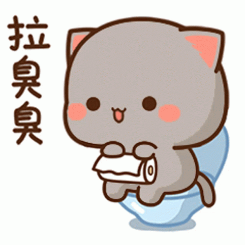 Mocha Enjoys Bathroom Time GIF