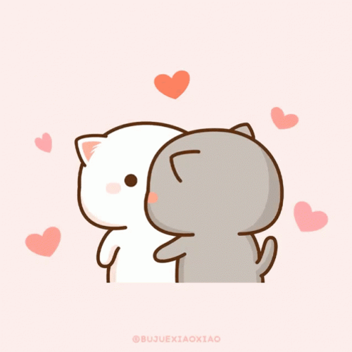 Mochi Cat GIF