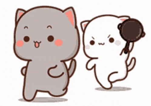 Mochi Cat Chasing With Pan GIF