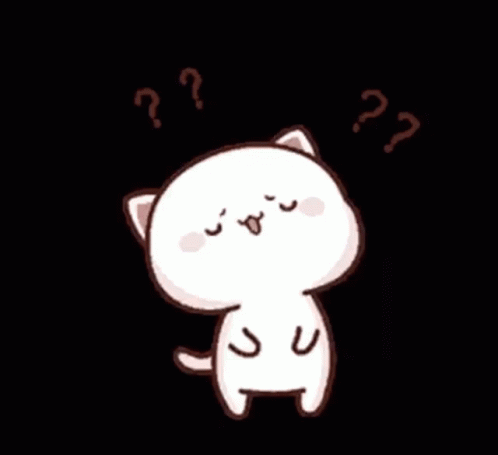 Mochi Cat Confused GIF