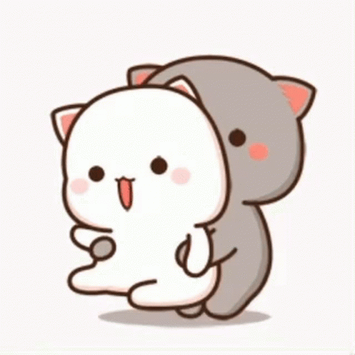 Mochi Cat Getting Spun Around GIF