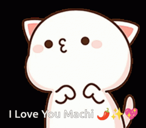 Mochi Cat I Love You Machi GIF