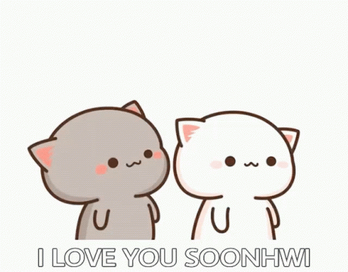 Mochi Cat I Love You Soonhwi GIF