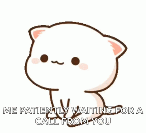 Mochi Cat Me Waiting Patiently For A Call GIF