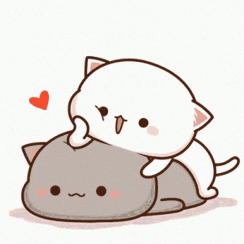 Mochi Cat Patting Head While On Top GIF