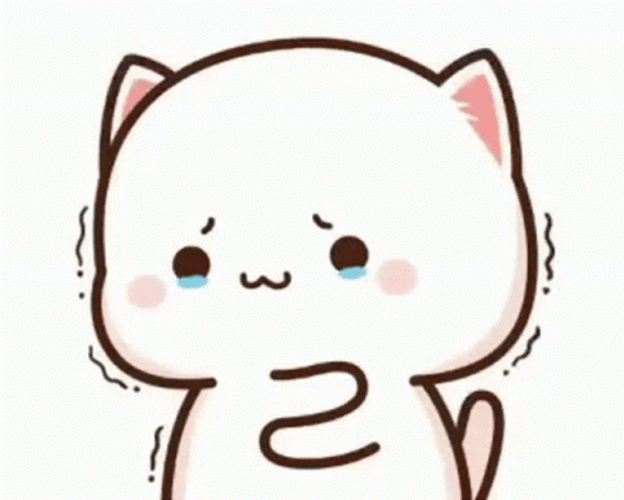 Mochi Cat Peach Sad Cry GIF