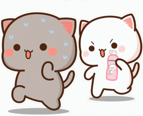 Mochi Cat Running Being Chased GIF