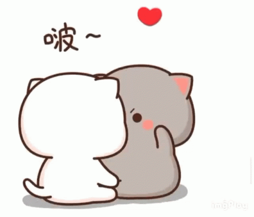 Mochi Cat Sit Ups GIF