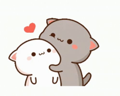Mochi Cat Standing Snuggles GIF