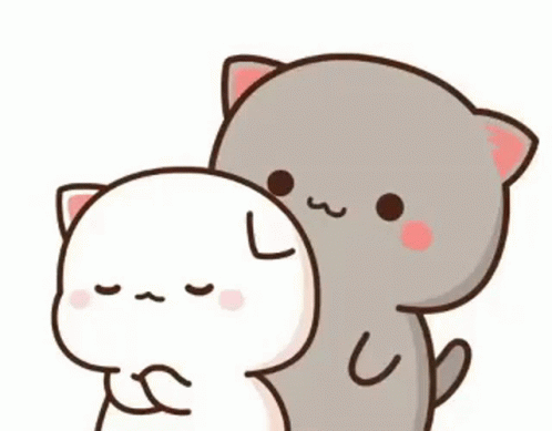 Mochi Cat Tease Its Friend GIF