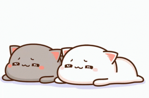 Mochi Cats Laying Down Tired GIF