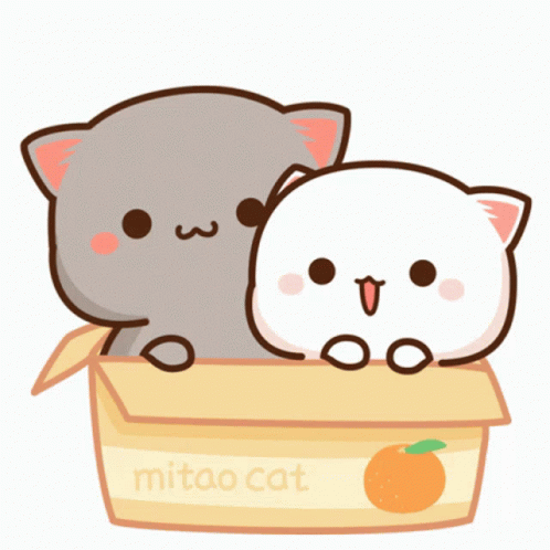 Mochi Cats Swaying In A Box GIF
