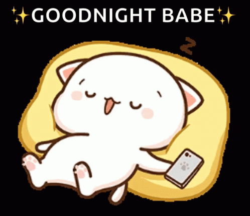 Mochi Peach Cat Sleeping Good Night Babe GIF