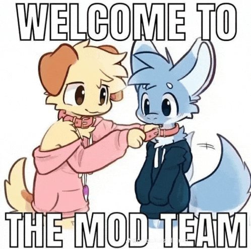 Mod Team Meme GIF