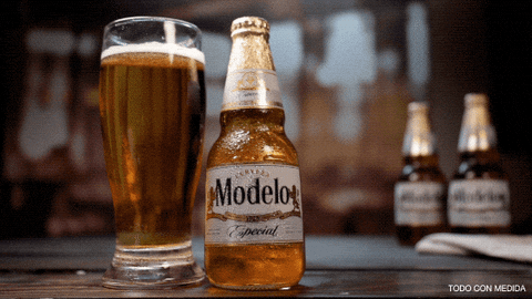 Modelo Special Beer On Full Glass GIF