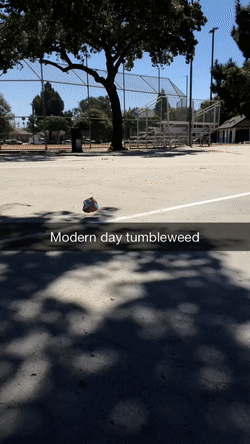 Modern Day Tumbleweed GIF