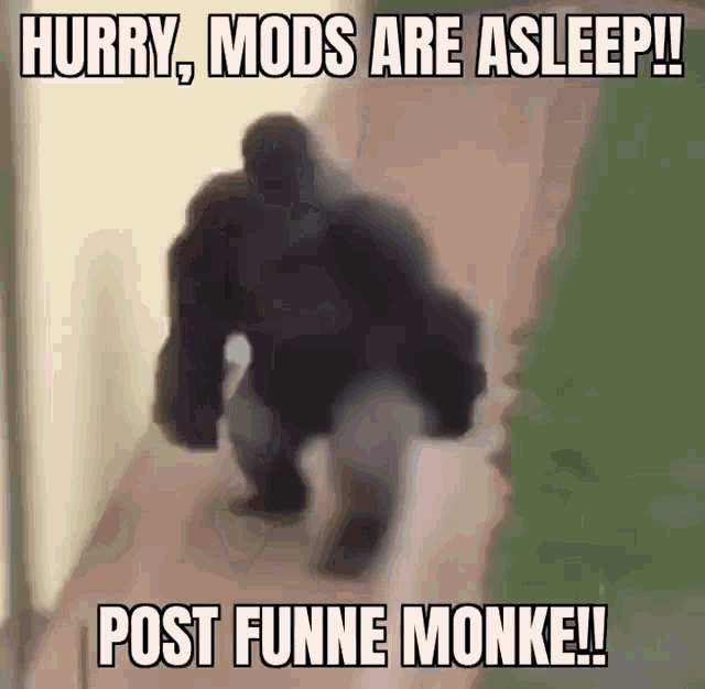Mods Asleep Post Monkey GIF