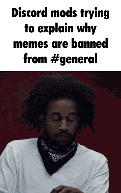Mods Banning Memes GIF