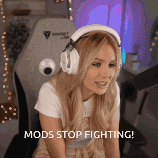 Mods Stop Fighting GIF