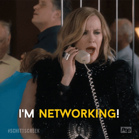 Moira Rose Networking GIF