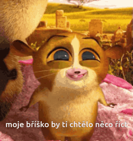 Moje Brisko Cartoon Animal