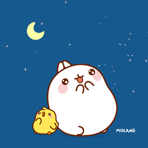 Molang And Piu Piu Admiring Starry Night GIF