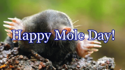 Mole Happy Mole Day