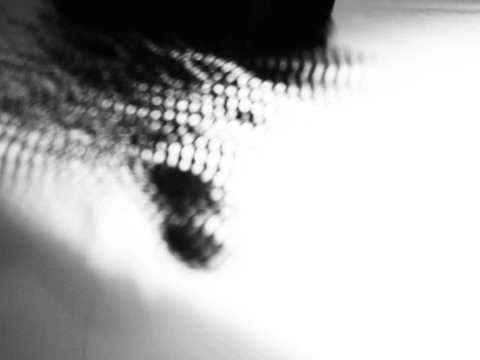 Moment For Self Reflection GIF