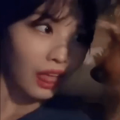Momo Twice Playing With Dog GIF