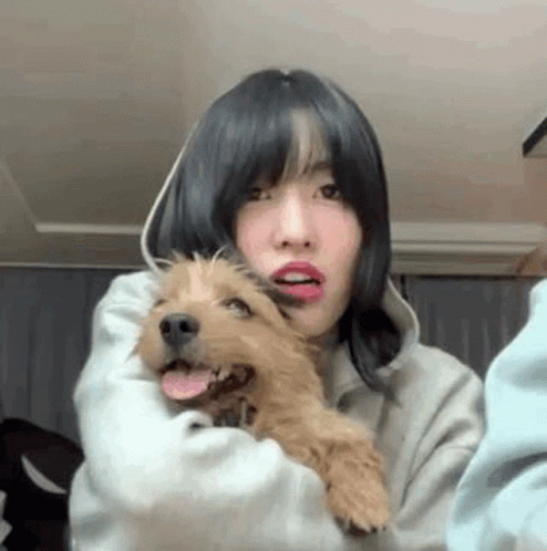 Momo Twice Weird Funny Dog GIF