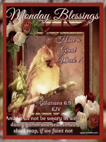 Monday Blessings Bird on Branch