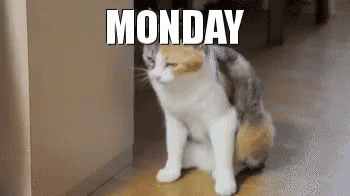 Monday Feeling Tired Meme GIF
